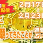 【週間占い】2025年2月17日(月)〜2月23日(日) ついに！何年も願ってきたことが