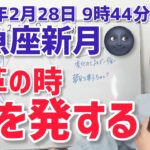 【2025年2月28日魚座新月🌚】変革の時。声を上げていく【ホロスコープ・西洋占星術】