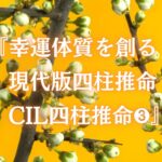 『幸運体質を創る　  現代版四柱推命　  CIL四柱推命➌』【悩み多き人生の案内板、「苦・集・滅・道」】【あなたの人生は、〇 △ × のどれですか？】