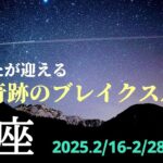 【2月後半 魚座】本当にすごい！押し寄せるミラクルの波がとまらない✨🌿🕊【運勢】【うお座】【タロット】【占い】