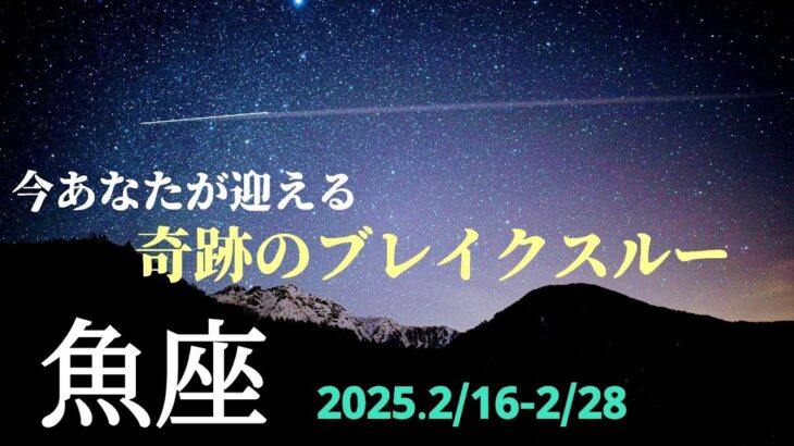 【2月後半 魚座】本当にすごい！押し寄せるミラクルの波がとまらない✨🌿🕊【運勢】【うお座】【タロット】【占い】