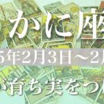 【かに座】週間リーディング（2025年２月3日〜9日）♋️もう幻想には囚われない、これからを支える基盤が出来上がる