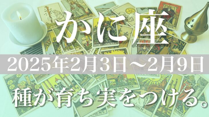 【かに座】週間リーディング（2025年２月3日〜9日）♋️もう幻想には囚われない、これからを支える基盤が出来上がる