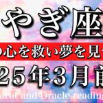 やぎ座♑︎2025年3月前半 もう置き去りにしない🔥自分の心を救い夢を見つける🧚‍♂️Capricorn tarot reading