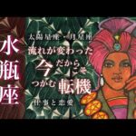 🌙水瓶座♒️2/15~3/15🌟最高のための調整 全体を見て動かす意識 ずっと待ってきた甲斐がありました 🌟しあわせになる力を引きだすタロットセラピー