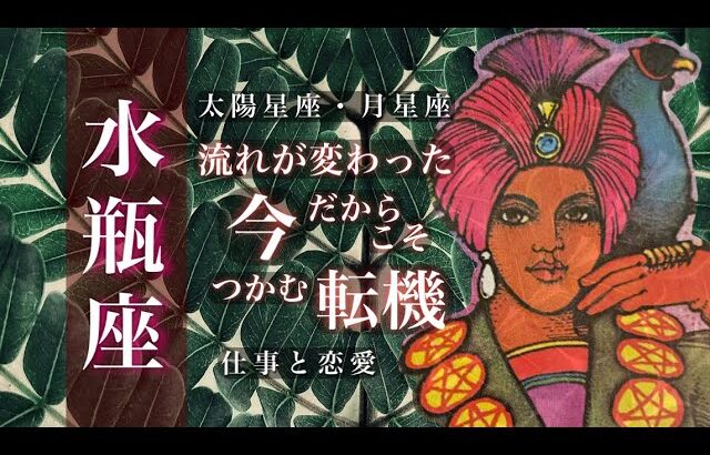 🌙水瓶座♒️2/15~3/15🌟最高のための調整 全体を見て動かす意識 ずっと待ってきた甲斐がありました 🌟しあわせになる力を引きだすタロットセラピー