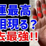 【手相占い】過去最強の金運現る！？【手相鑑定 vol.237】