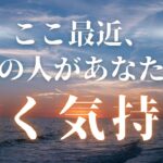 ここ最近、あの人があなたに抱く気持ち。あの人からのメッセージあります。 【 恋愛・タロット・オラクル・占い 】