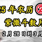 紫微斗数月运2025年2月28日到3月28日，阴历二月