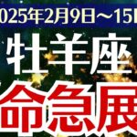 【牡羊座】2025年2月9日(日)～15日(土)のおひつじ座の運勢