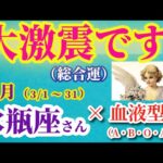 【水瓶座の総合運】2025年3月までのみずがめ座の総合運。#水瓶座 #みずがめ座