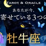 【牡牛座♉️見た時がタイミング】あなたが今、引き寄せている３つのこと