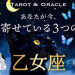 【乙女座♍️見た時がタイミング】あなたが今、引き寄せている３つのこと