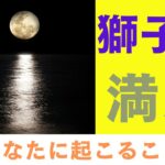 【獅子座満月🌕】あなたに起こること💖タロットリーディング🍀変化の前兆がやってくる✨