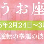 【 うお座 ♓ 】週間リーディング( 2025年 2月24日の週)大逆転の幸運の波。 魚座 タロット占い