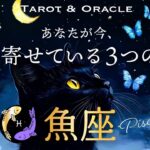 【魚座♓️見た時がタイミング】あなたが今、引き寄せている３つのこと