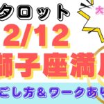 【凄い！大アルカナ祭り】2/12獅子座満月🌕の過ごし方