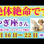 【山羊座】2025年2月16日から22日までのやぎ座の総合運。#山羊座 #やぎ座