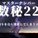 【数秘術】数秘22はカリスマ？違います。1000名鑑定でわかった真実を話します