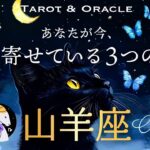 【山羊座♑️見た時がタイミング】あなたが今、引き寄せている３つのこと