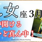 乙女座3月は道が開ける‼️自分ど真ん中で生きて大成功❗️3月運勢仕事恋愛人間関係♍️【脱力系タロット占い】