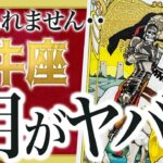 これから牡牛座さんの人生が激変します。避けられない変化と前兆【牡牛座 人生 恋愛 仕事】