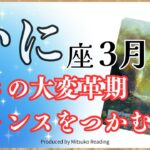 蟹座3月は驚愕の大変革期に突入❗️運命が大きく動きます。変わりたい人は今がチャンス❗️2025年3月運勢仕事恋愛人間関係♋️【脱力系タロット占い】