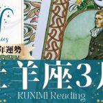 牡羊座♈3月運勢✨モヤモヤを上手に伝えれば幸せ！🌟現状🌟仕事運🌟恋愛・結婚運🌟ラッキーカラー🌟開運アドバイス🌝月星座おひつじ座さんも🌟タロットルノルマンオラクルカード