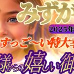 【水瓶座♒2月中旬運勢】八百万の神々からの嬉しい御告げ　おめでとー！！嫉妬されちゃうくらいの特大幸運期だからとにかく楽しんでね！　✡️キャラ別鑑定付き✡️【タロット占い】