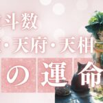 🔮 【紫微斗数】あなたの魂に刻まれた宿命とは？運命を導くスピリチュアルメッセージ✨～紫微星、天府星、天相星編