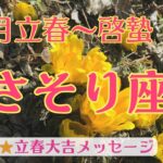 【立春大吉🌸成功の入り口に立ってます⭐️】さそり座さん♏️立春🌸から啓蟄まで🍀大自然と五龍神様からの開運メッセージ🍀