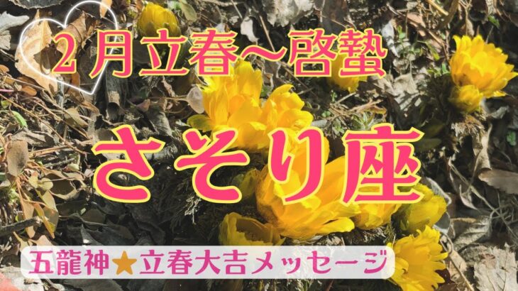 【立春大吉🌸成功の入り口に立ってます⭐️】さそり座さん♏️立春🌸から啓蟄まで🍀大自然と五龍神様からの開運メッセージ🍀