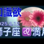 獅子座の満月(2/12)【今回の開運法】