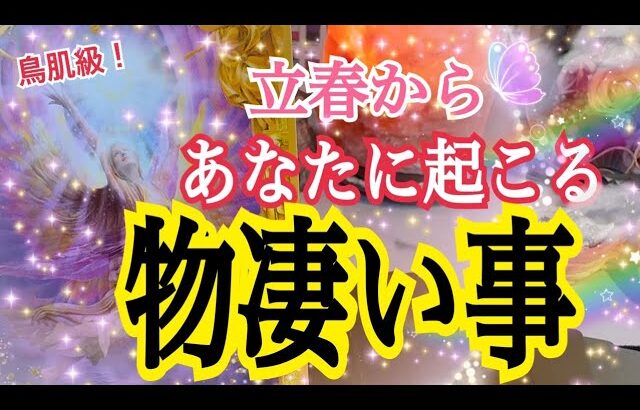 【超鳥肌🕊️神展開でした】🌸立春からあなたに起きる物凄い事❗️😳個人鑑定級タロット占い🔮⚡️