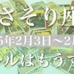 【さそり座】週間リーディング（2025年２月3日〜9日）♏️ここからは明るい道、重なる気持ち、真の豊かさを知る