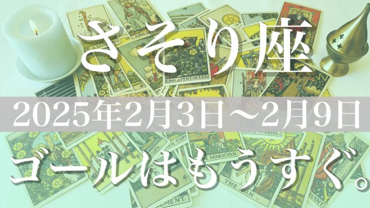 【さそり座】週間リーディング（2025年２月3日〜9日）♏️ここからは明るい道、重なる気持ち、真の豊かさを知る