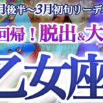 乙女座 2月後半～3月初旬【苦しいもどかしさ脱出！成功の秘訣は初心を忘れないこと】自分も他人も深く知る時　おとめ座　2025年２月　3月運勢　タロットリーディング