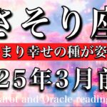 さそり座♏︎2025年3月前半 湧き起こる新たなアイディア🔥波は静まり幸せのタネが姿を現すScorpio tarot reading