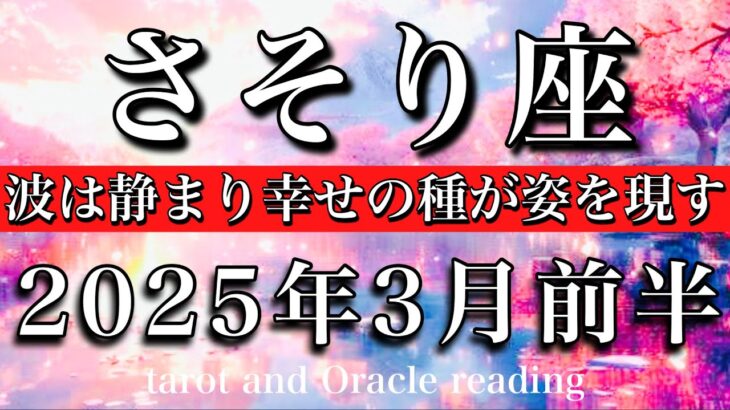 さそり座♏︎2025年3月前半 湧き起こる新たなアイディア🔥波は静まり幸せのタネが姿を現すScorpio tarot reading