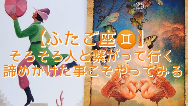 【ふたご座♊】〜イメージを現実に！ひと先ずやってみよう〜　そろそろ人と繋がって行く　諦めかけた事こそやってみる