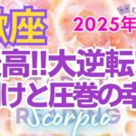 ♏蠍座2月運勢🌈✨大歓喜！！現状打破！奇跡の展開で解決する幸運💐✨