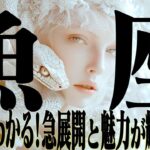 【15分でわかる！うお座2月下旬〜3月上旬】急展開！魅力が輝く瞬間【癒しの眠れる占い】