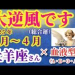 【牡羊座の総合運】2025年2月から4月までのおひつじ座の総合運。#牡羊座 #おひつじ座