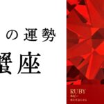 【蟹座🌞3月の運勢】今がしんどい人こそ見てほしい🥹ここからもの凄い流れが待ってます✨2025年タロット占い