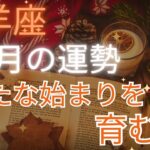 2025年山羊座♑️2月の運勢💫💫全体運・仕事・人間関係・恋愛　新たな始まりを育む月🍀🍀🍀