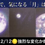 【緊急予報🌕重要日2/12】この今日🩷あなたに急いで伝えたい✨緊急メッセージ✨【ルノルマンカードリーディング占い】恐ろしいほど当たる😱