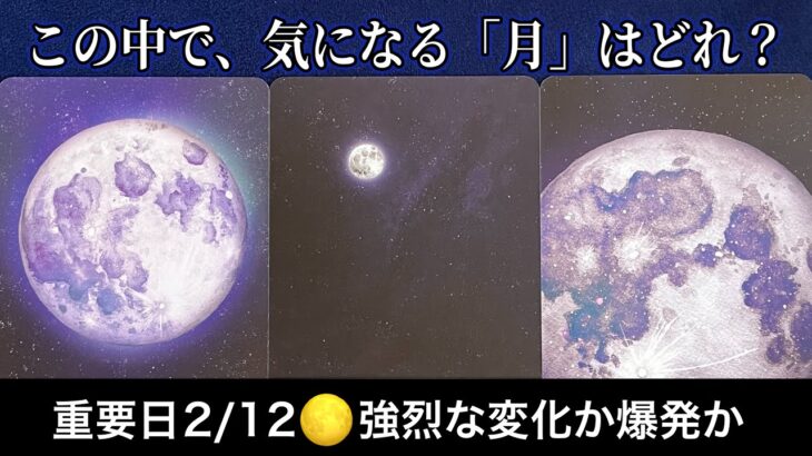 【緊急予報🌕重要日2/12】この今日🩷あなたに急いで伝えたい✨緊急メッセージ✨【ルノルマンカードリーディング占い】恐ろしいほど当たる😱