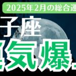 【双子座の運勢】2025年2月ふたご座　「運気爆上」