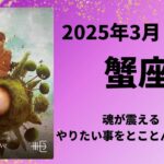 【蟹座】魂が震える！心の底から望む方へ☆【かに座2025年3月1〜15日の運勢】