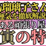 小島瑠璃子さんが持つ干支！戊寅が重なった運気/四柱推命【干支番号15番】戊寅の性格、恋愛、適職、有名人について